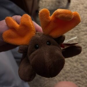1993 Retired “Chocolate” the Moose Ty Beanie Babies very rare with errors MWT